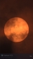 Preview: ZWO Smart Telescope AP 50/250 Seestar S50