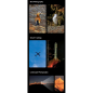 Preview: ZWO Smart Telescope AP 30/160 Seestar S30 Pro