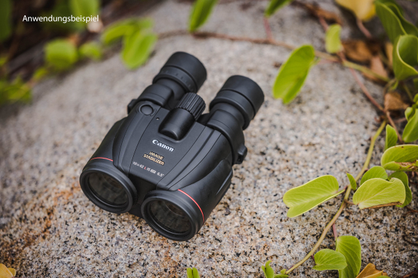 Canon Binocular 10x42 L IS WP